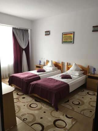 Отель Simeria Class Hotel Гура-Гуморулуй Двухместный номер с 2 отдельными кроватями-2