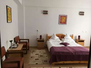 Отель Simeria Class Hotel Гура-Гуморулуй Двухместный номер с 1 кроватью-1